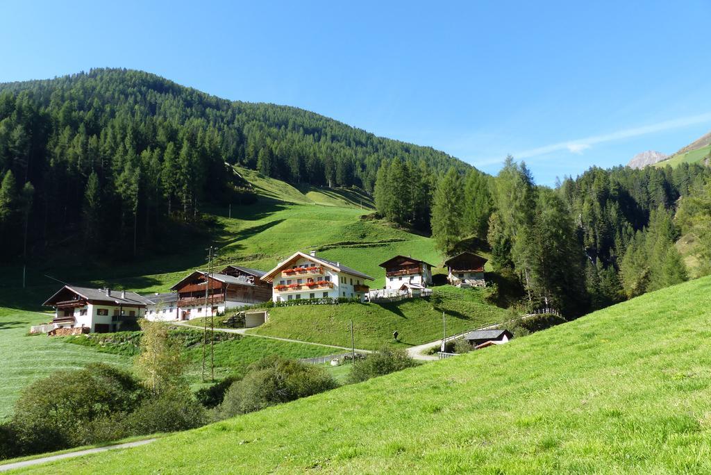 Farm stay Reden Hof *
